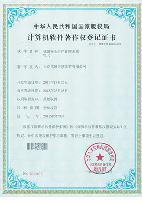 構(gòu)筑數(shù)字世界的堅(jiān)實(shí)防線 我們的網(wǎng)絡(luò)與信息安全軟件開發(fā)之路